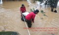 Minister prioritizing key efforts against widespread flooding in S. Kalimantan